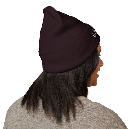 DJ Cummerbund Logo Beanie